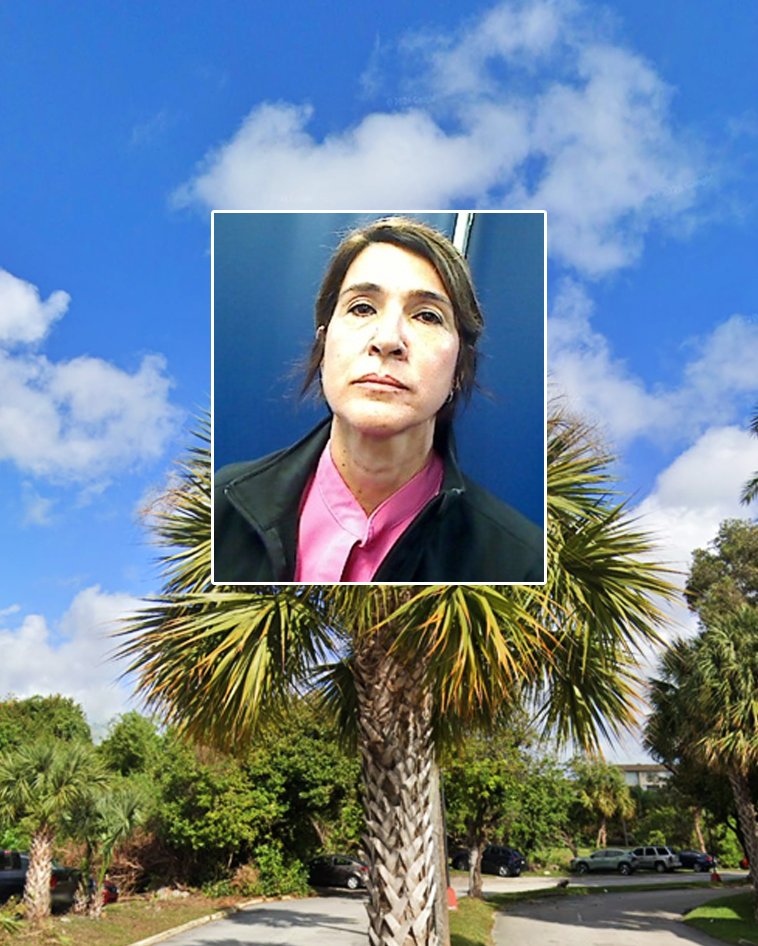 Foto publicada por ICE en X: Alina Rosales Aguirreurreta, hija del general cubano Ulises Rosales del Toro, detenida en Florida