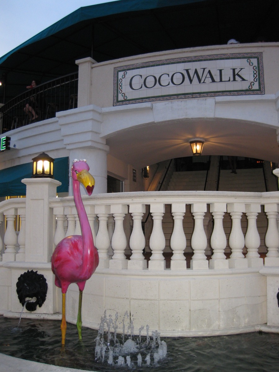CocoWalk en Coconut Grove, Miami: el barrio donde la Policía de Miami detuvo al alcalde Bryan Calvo el 14 de junio de 2026