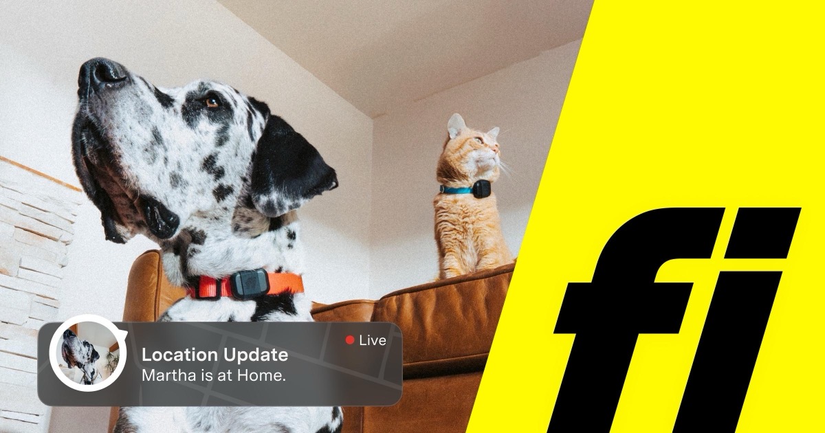 Fi Ultra: localizador GPS para perros con conectividad satelital T-Satellite y Starlink; material promocional oficial