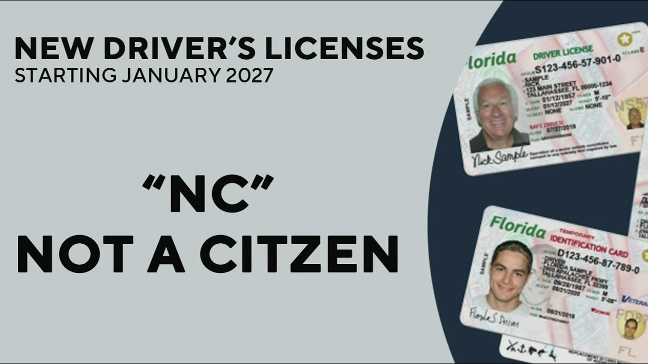 Reacciones en el sur de Florida a la ley HB 991: las licencias de conducir y las identificaciones estatales mostrarán el estatus de ciudadanía a partir de 2027
