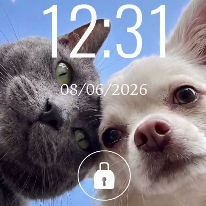 Resultado del prompt: selfie de mascotas generada con Gemini