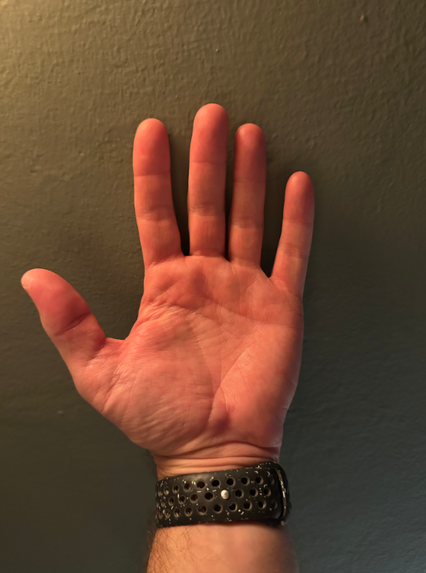 Second example of palm guide generated with José Siles' prompt